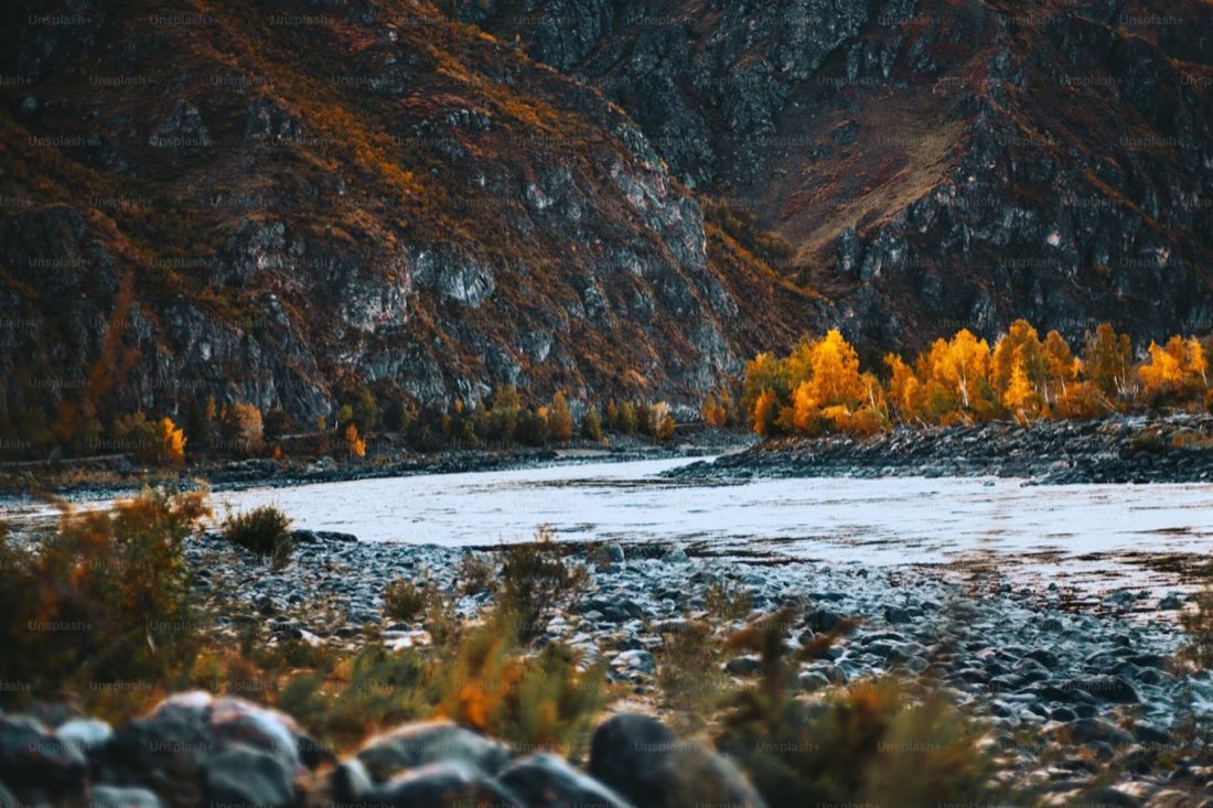Горная река Алтая
